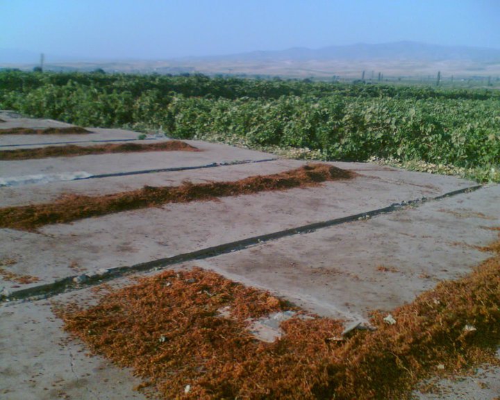 Salihli Hacılı Köyü Resimleri 1