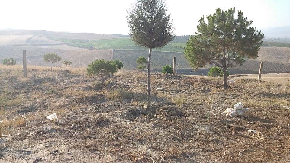 Salihli Hacılı Köyü Resimleri 2