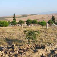 Salihli Hacılı Köyü Resimleri 3