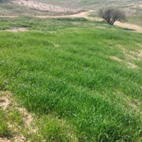 Salihli Hacılı Köyü Resimleri 6