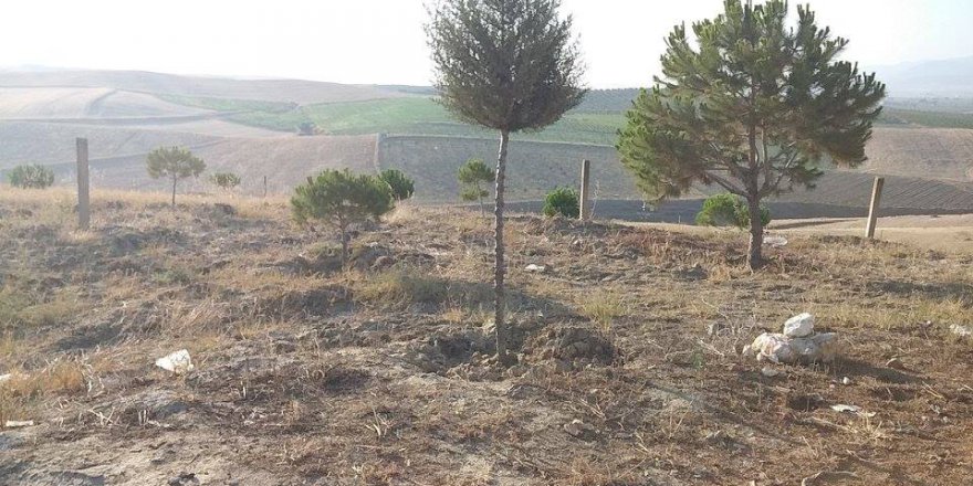 Salihli Hacılı Köyü Resimleri