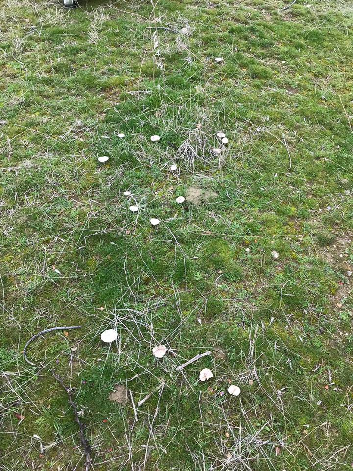 Salihli Kabazlı Köyü Resimleri 11