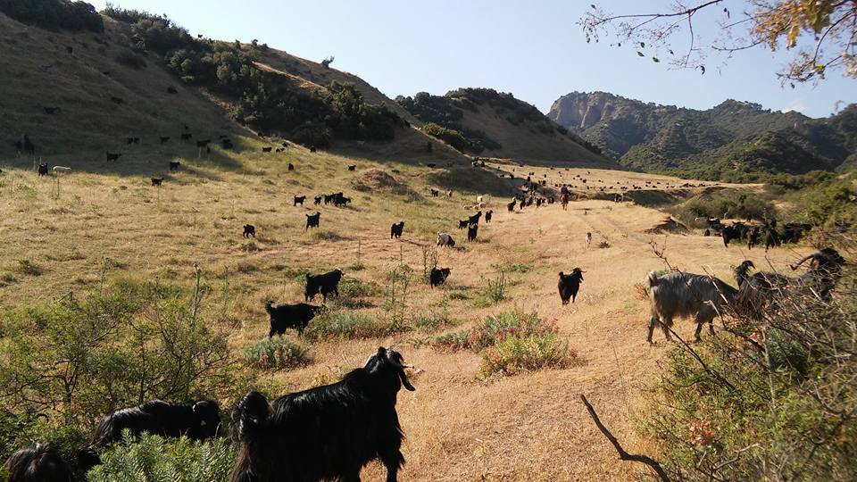 Salihli Kabazlı Köyü Resimleri 4