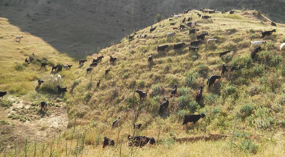 Salihli Kabazlı Köyü Resimleri 5
