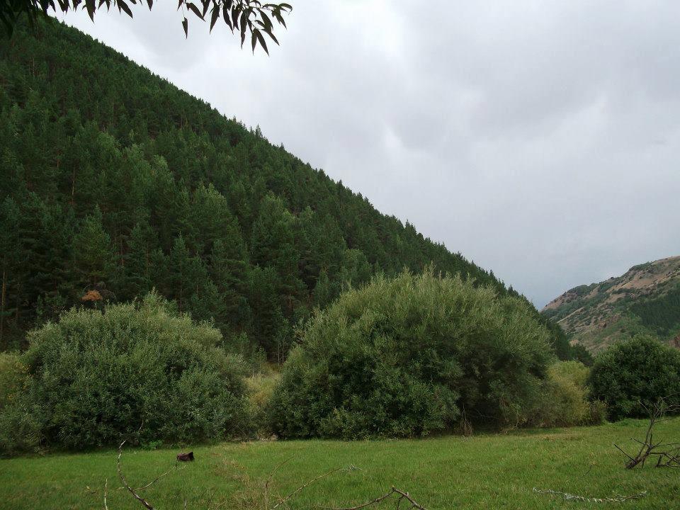 Pasinler Demirdöven Köyü Resimleri 3