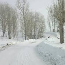 Pasinler Gerdekkaya Köyü Resimleri 5