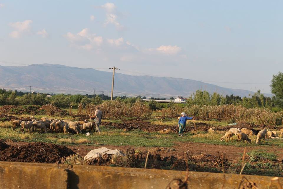 Salihli Kapancı Köyü Resimleri 2