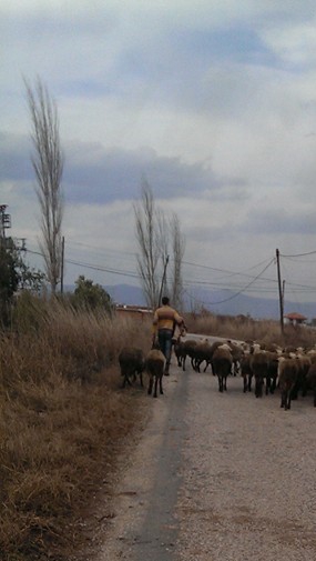 Salihli Kapancı Köyü Resimleri 4