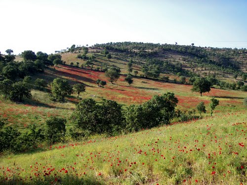 Salihli Kaplanköy Köyü Resimleri 6