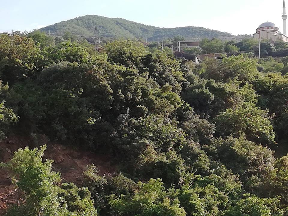 Salihli Karaağaç Köyü Resimleri 18