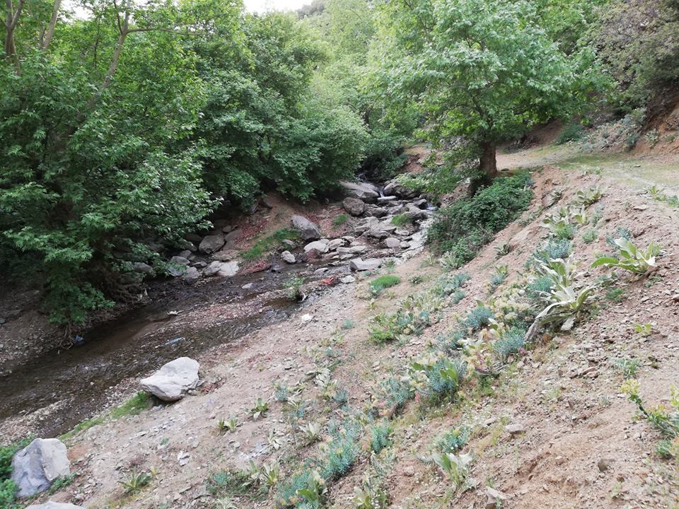 Salihli Karaağaç Köyü Resimleri 19