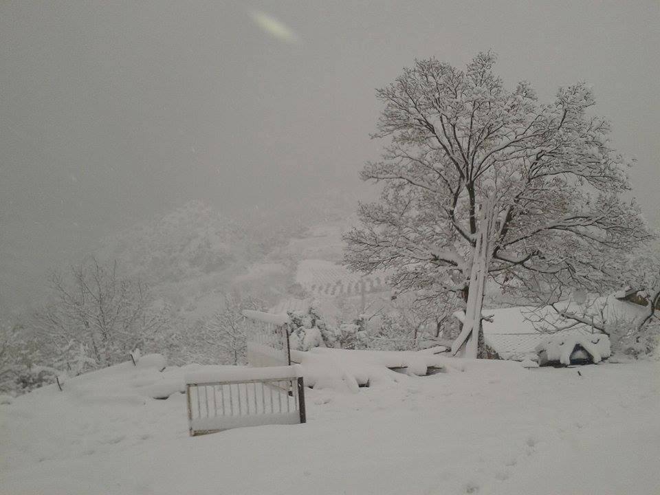 Salihli Karaağaç Köyü Resimleri 2