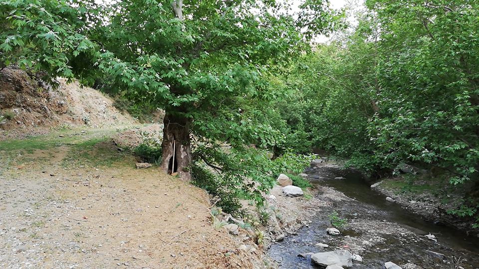 Salihli Karaağaç Köyü Resimleri 22