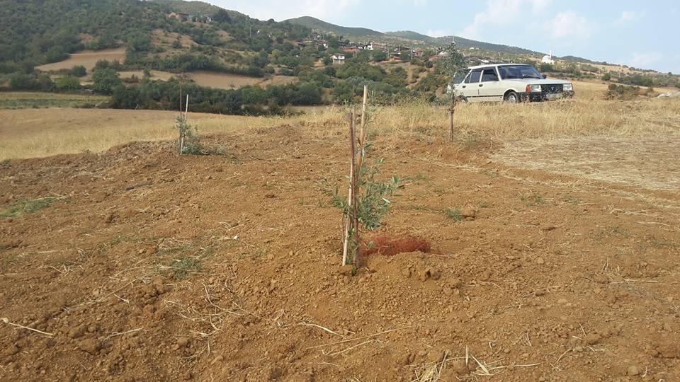 Salihli Karaağaç Köyü Resimleri 3