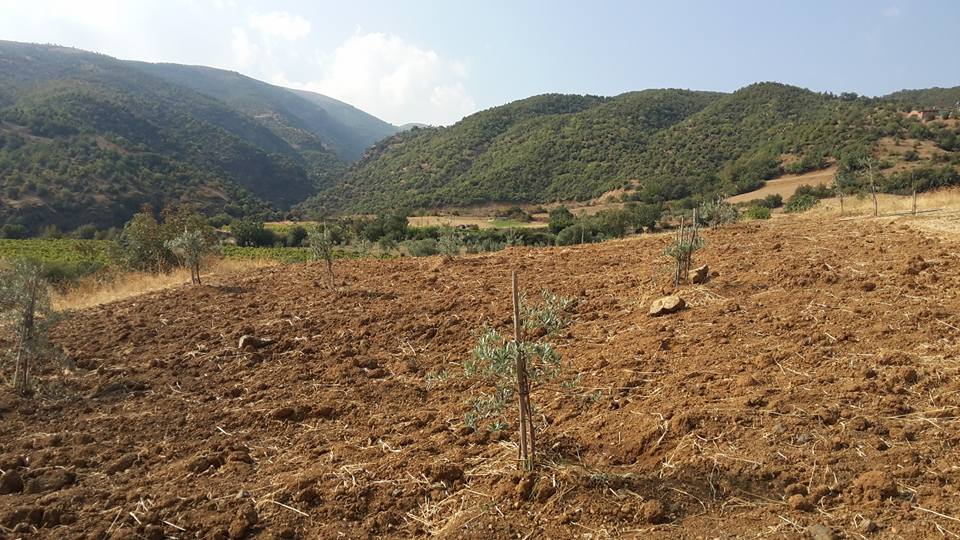 Salihli Karaağaç Köyü Resimleri 6