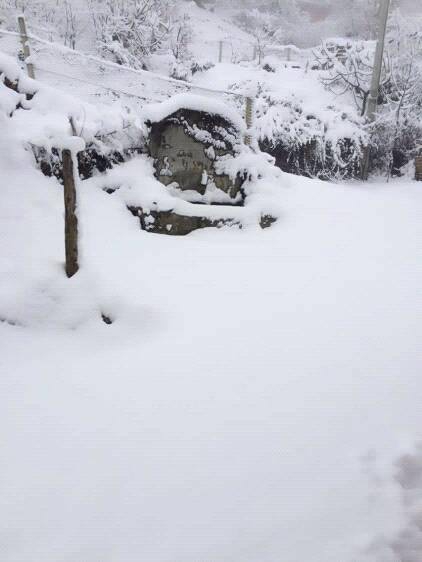 Salihli Karaağaç Köyü Resimleri 8