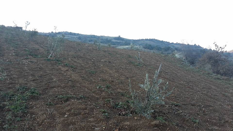 Salihli Karaağaç Köyü Resimleri 9