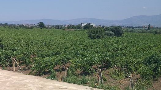 Salihli Karaoğlanlı Köyü Resimleri 1