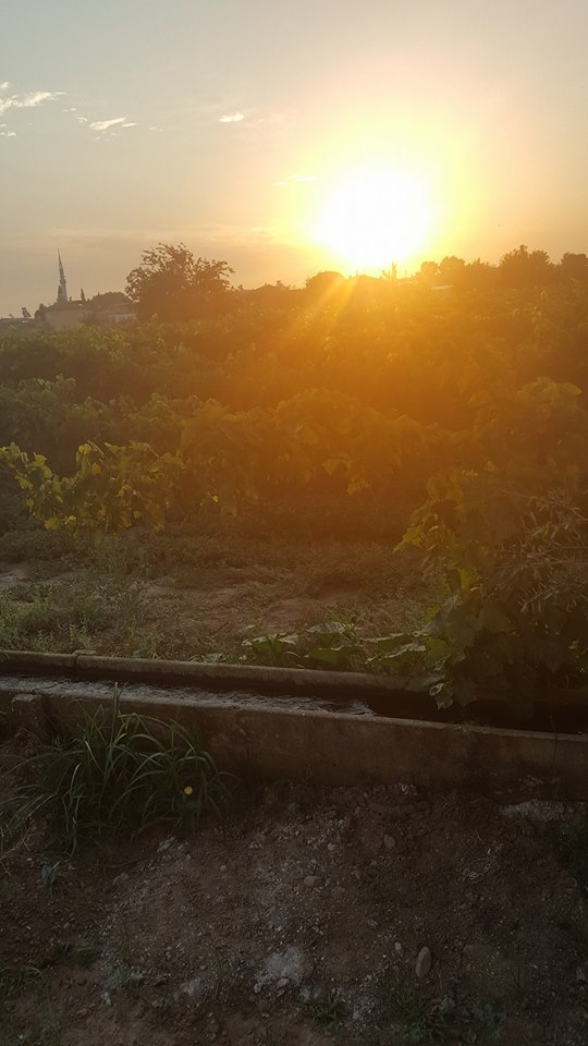 Salihli Karaoğlanlı Köyü Resimleri 3