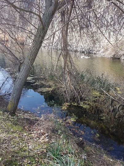 Salihli Kendirlik Köyü Resimleri 1