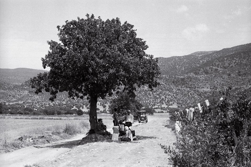 Salihli Kırdamları Köyü Resimleri 3