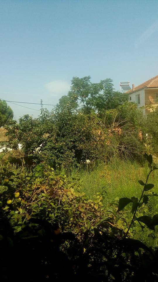 Salihli Kordon Köyü Resimleri 2