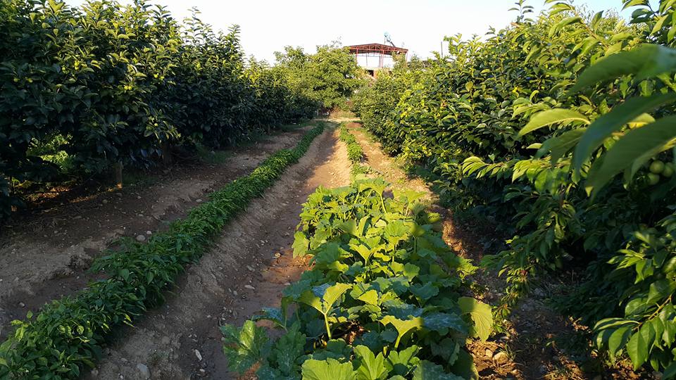 Salihli Kordon Köyü Resimleri 3