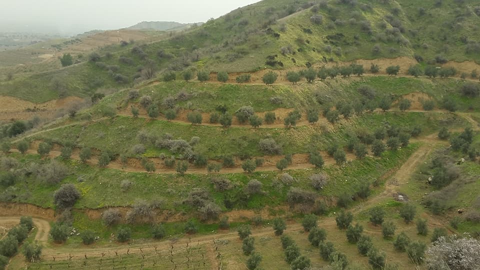 Salihli Kordon Köyü Resimleri 5