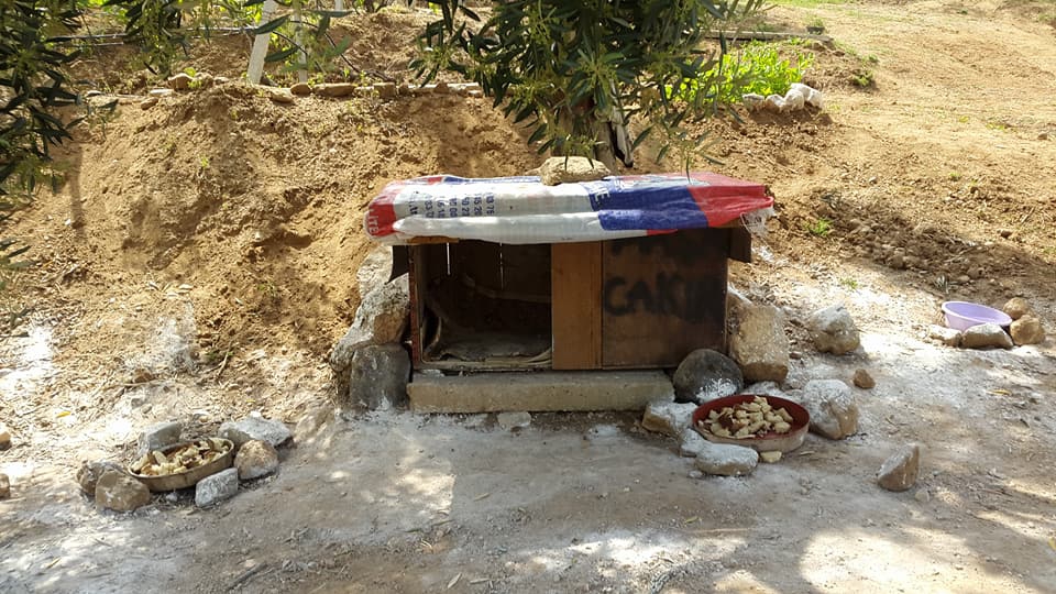 Salihli Kordon Köyü Resimleri 7