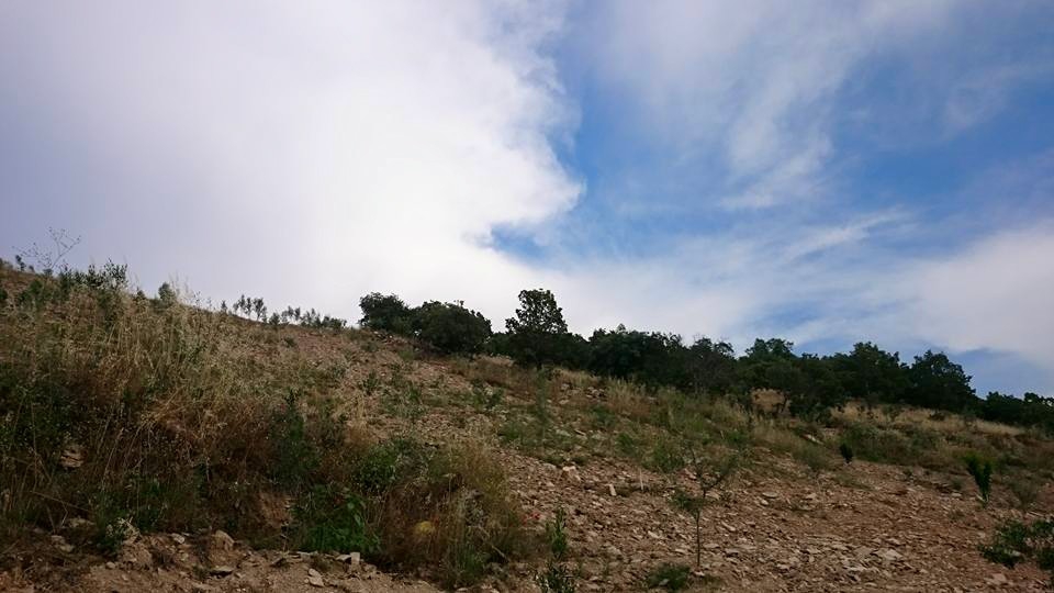 Salihli Mamatlı Köyü Resimleri 2