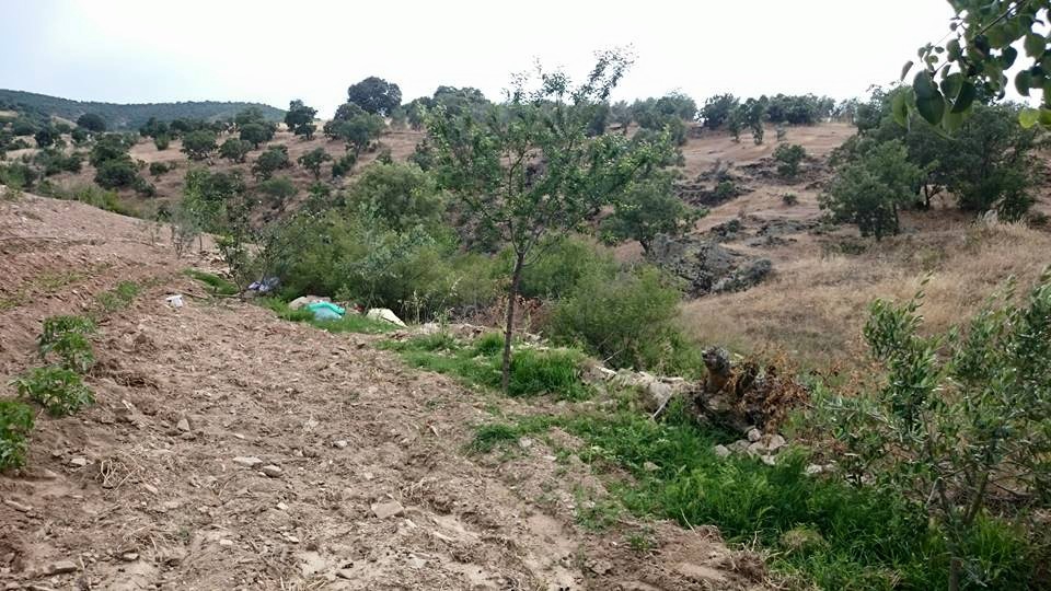 Salihli Mamatlı Köyü Resimleri 3