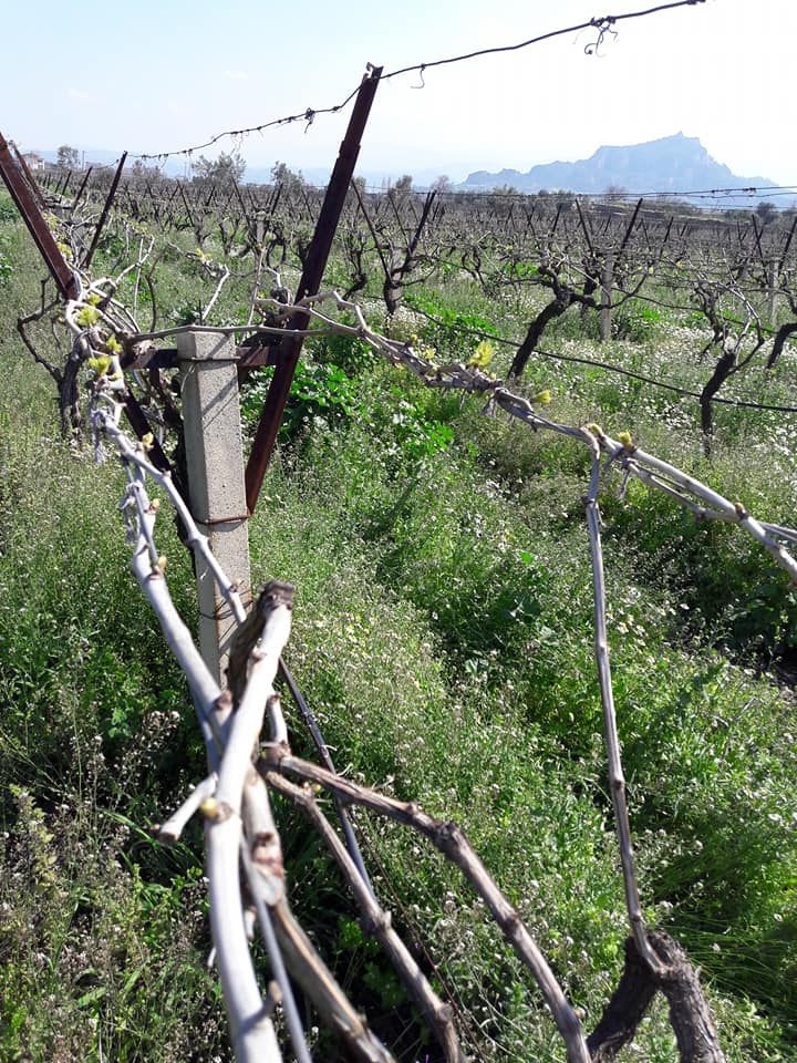 Salihli Mersindere Köyü Resimleri 3