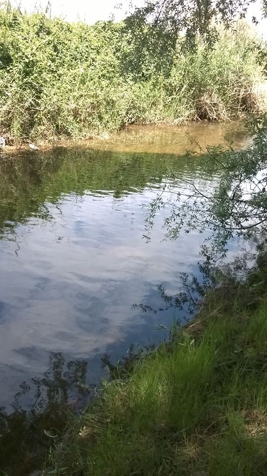 Salihli Mevlütlü Köyü Resimleri 2