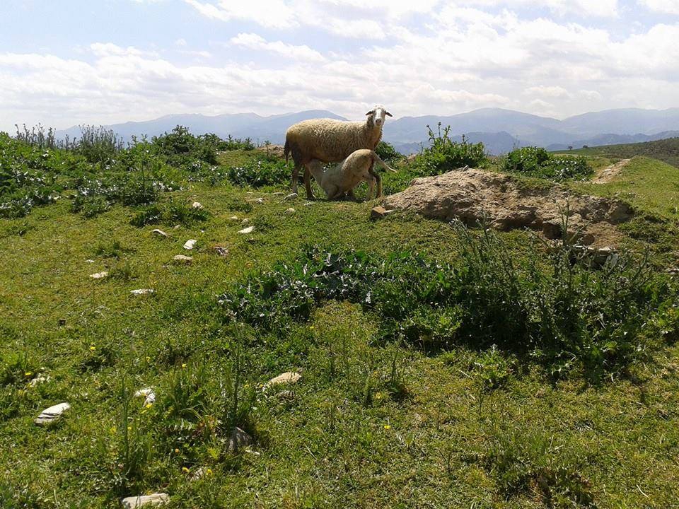 Salihli Mevlütlü Köyü Resimleri 5