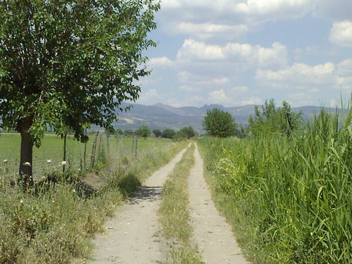 Salihli Süleymaniye Köyü Resimleri 2