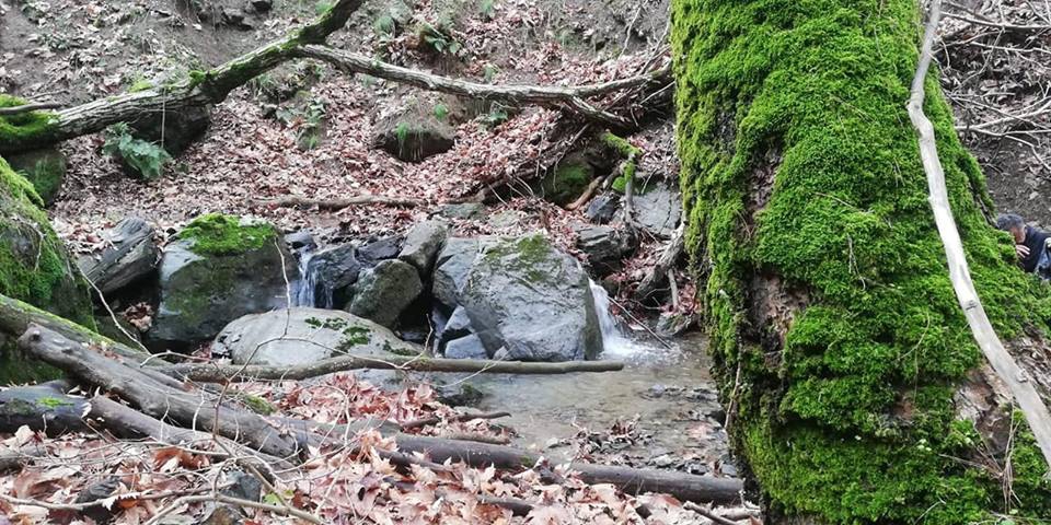 Salihli Şirinyer Köyü Resimleri 6