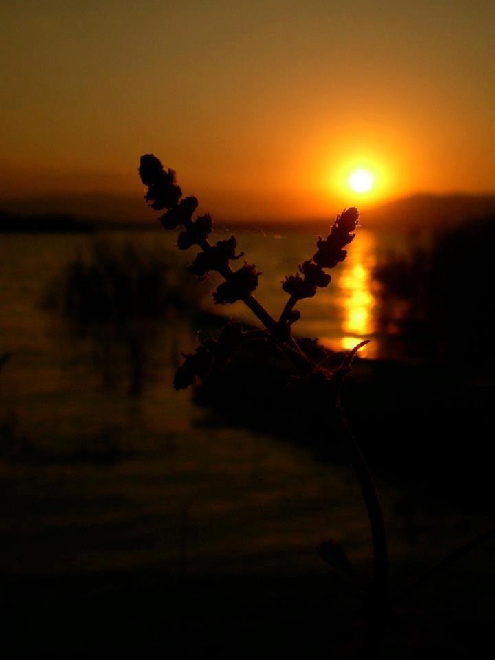 Salihli Tekelioğlu Köyü Resimleri 1