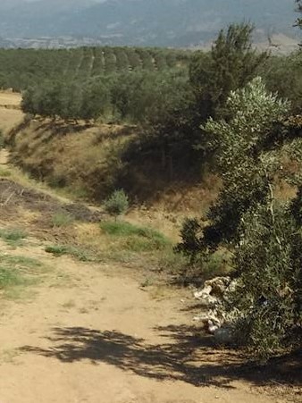 Salihli Torunlu Köyü Resimleri 1