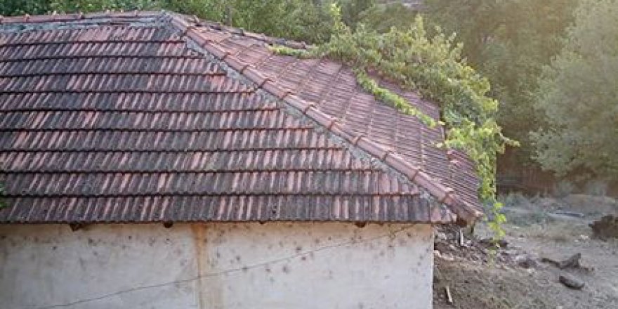 Salihli Yağmurlar Köyü Resimleri