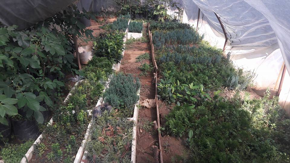 Salihli Yeniköy Köyü Resimleri 4