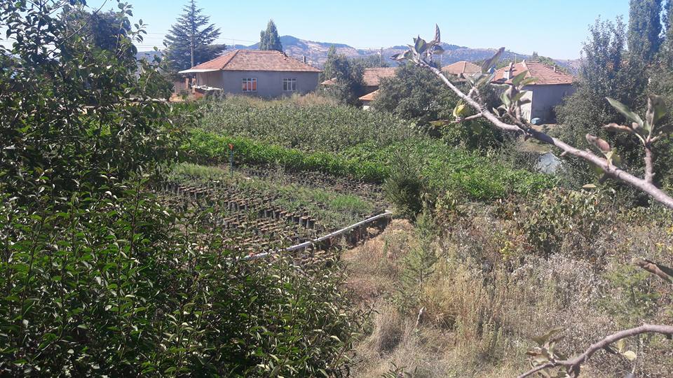 Salihli Yeniköy Köyü Resimleri 7