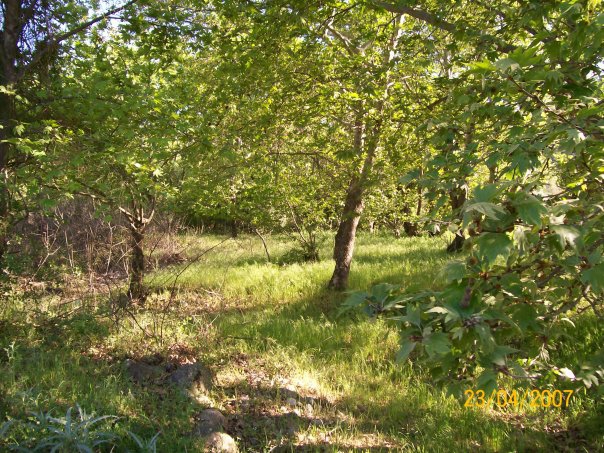 Salihli Yenipazar Köyü Resimleri 1