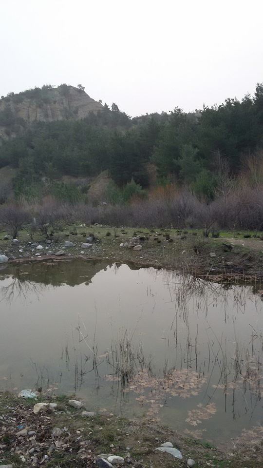 Salihli Yenipazar Köyü Resimleri 2