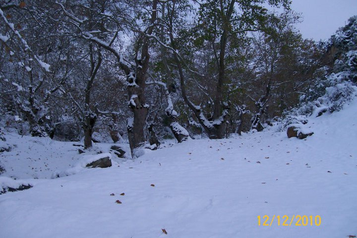 Salihli Yenipazar Köyü Resimleri 3