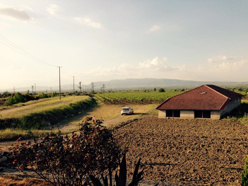 Salihli Yeşilkavak Köyü Resimleri 2