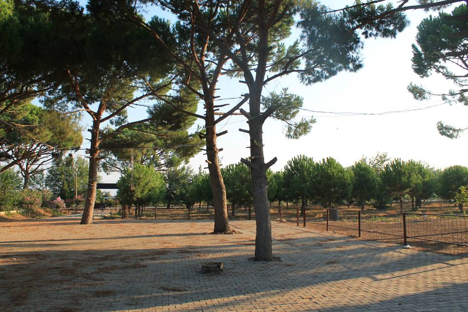 Salihli Yeşilkavak Köyü Resimleri 4