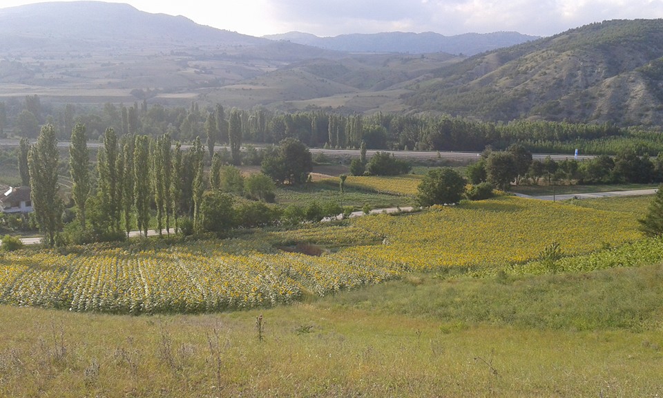 Amasya Taşova Dutluk Köyü Resimleri 15
