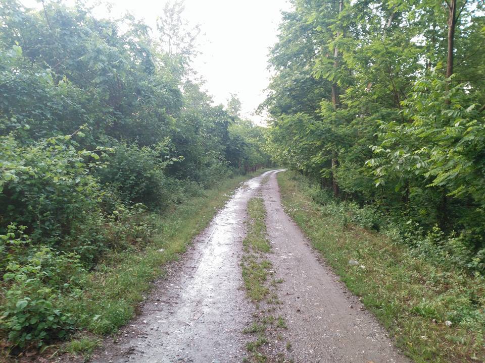 Amasya Taşova Dutluk Köyü Resimleri 19