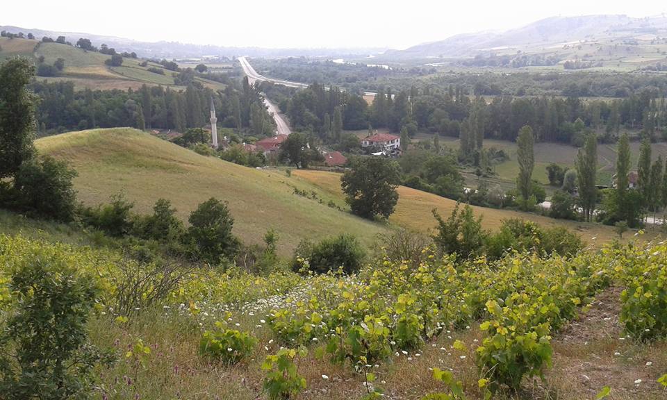 Amasya Taşova Dutluk Köyü Resimleri 20