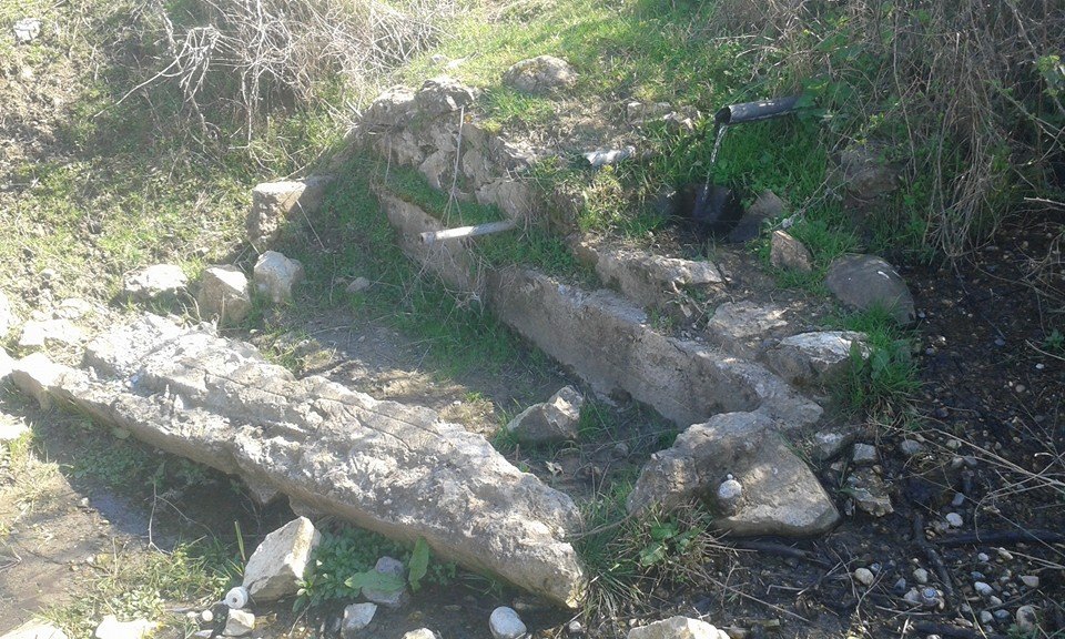 Amasya Taşova Dutluk Köyü Resimleri 33